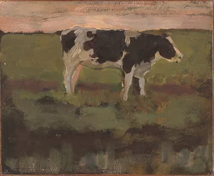 Unknown Image